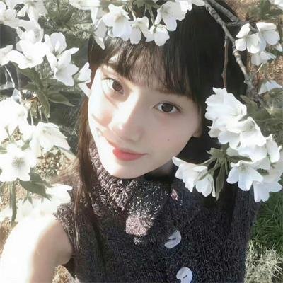 与鸭共舞